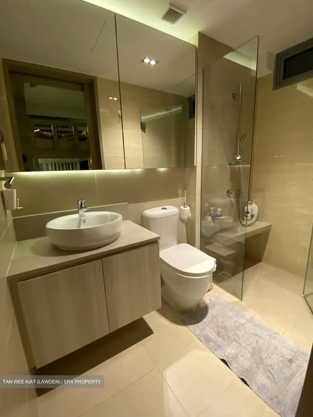 A Treasure Trove (D19), Condominium #563211531